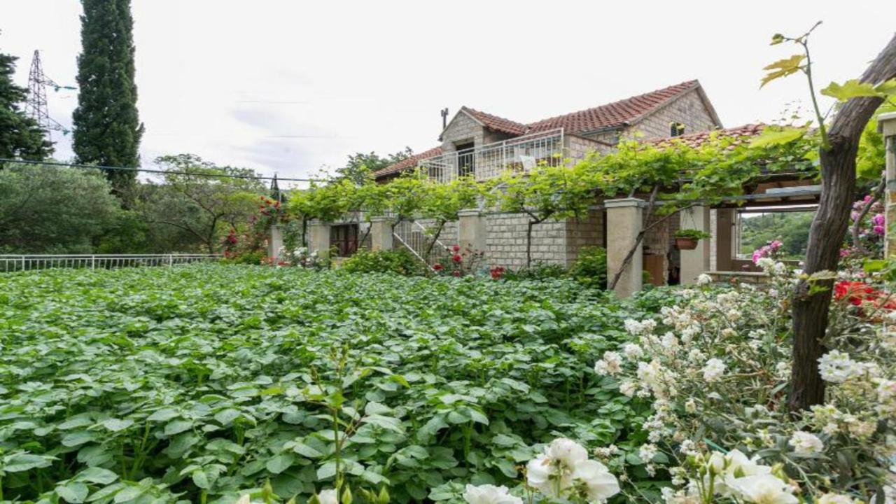 Apartment Klepo Dubrovnik Bagian luar foto